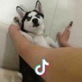 Me头像