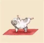 汪全的个人资料头像