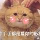 老王与世无争 · 哈弗H6车主·车龄4年头像