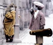 拓海Z的个人资料头像