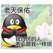 情陌唯兮的个人资料头像