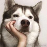 linlinlincoder的个人资料头像