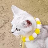 仁爱花猫TK头像