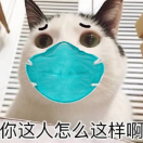 貓君鄭的个人资料头像