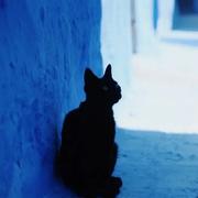 用户9611265814349的个人资料头像