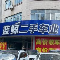你弟啊帖木儿开心帕提欧头像