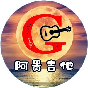 阿贵弹琴🎸头像