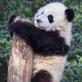 宗哥数码头像