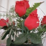 用户4866941944502头像