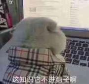 FEer的个人资料头像