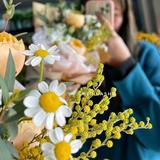 茉莉花社头像