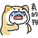 兽耳即正义头像