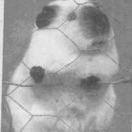 bd7xzz的个人资料头像