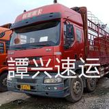譚兴速运头像