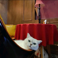 把爱留给Color头像