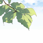 dsphoebe的个人资料头像