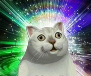 酱油丶的个人资料头像