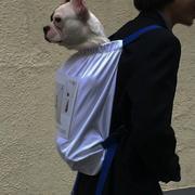 Kyrie的个人资料头像