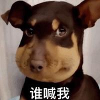 用户829962280799头像