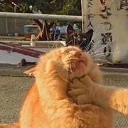 兵子子子的个人资料头像