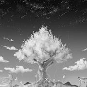 Arknights356的个人资料头像