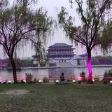 维修售后773头像