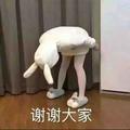 rabbit钰儿头像