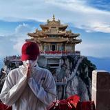 恋家的鹤一头像