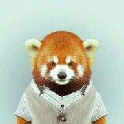 伊优的个人资料头像