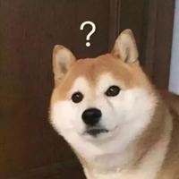 11111ddss头像