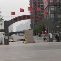好奇贝尔3头像