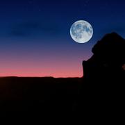 爱与自由的个人资料头像