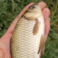 阳光285860894头像