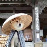 333333339880头像