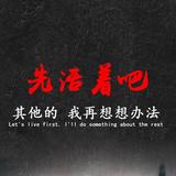 灰色格调8s1F头像