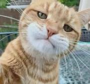 攀山的个人资料头像