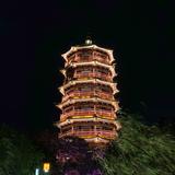 馬儿跑呀头像