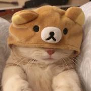 deleted_的个人资料头像