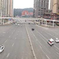 悟空真不赖头像