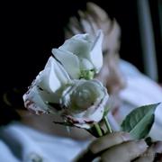 带专odinar的个人资料头像