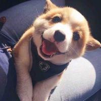 清风徐来mlc头像