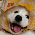 油点东西oo的个人资料头像