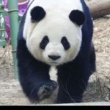 漫行天下123头像