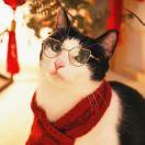 Drizzle_zl的个人资料头像