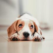 用户139967362565的个人资料头像