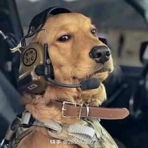 爱漂移又爱越野的司机头像