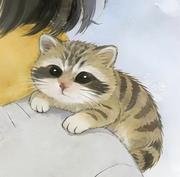 Wiittch的个人资料头像