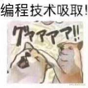 前端飞天猪的个人资料头像