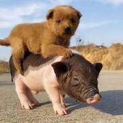 木易881的个人资料头像