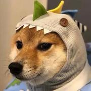 沼泽的个人资料头像